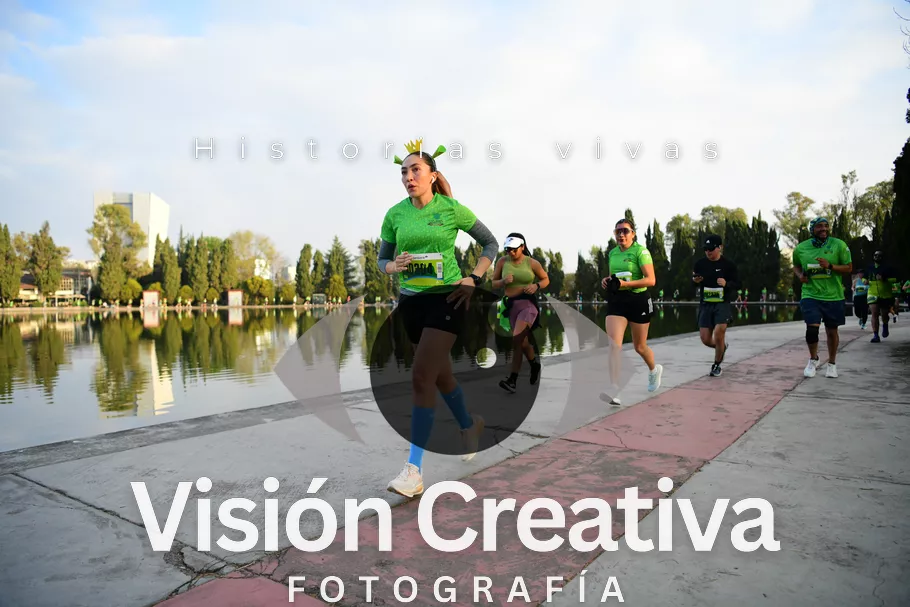 Foto del evento Shrek - CDMX 2026