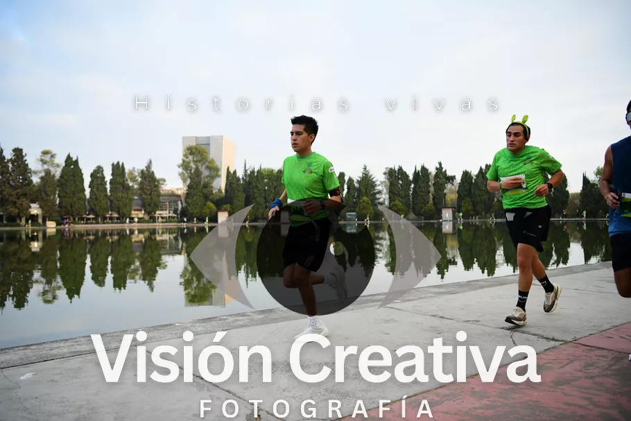 Foto del evento Shrek - CDMX 2026