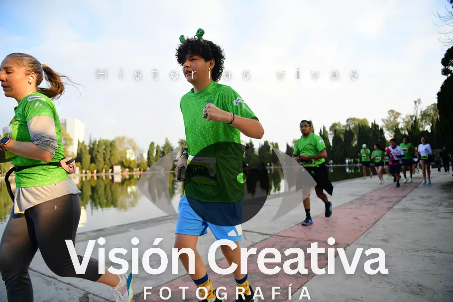 Foto del evento Shrek - CDMX 2026