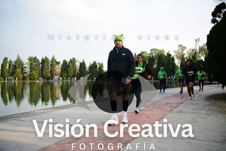 Foto del evento Shrek - CDMX 2026