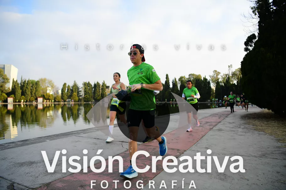 Foto del evento Shrek - CDMX 2026