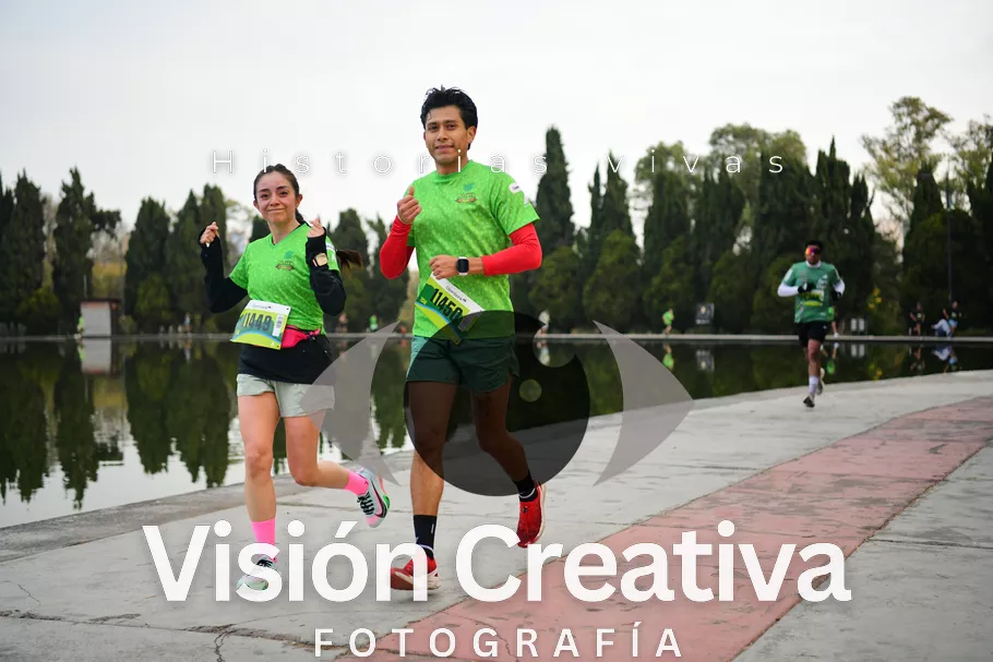 Foto del evento Shrek - CDMX 2026