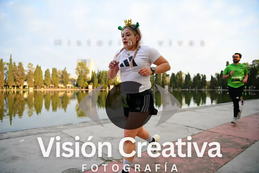 Foto del evento Shrek - CDMX 2026