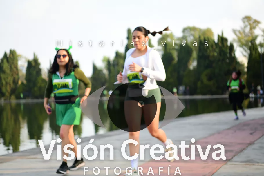 Foto del evento Shrek - CDMX 2026
