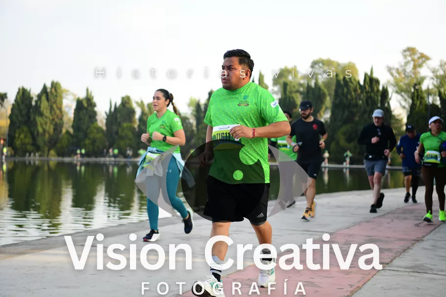 Foto del evento Shrek - CDMX 2026
