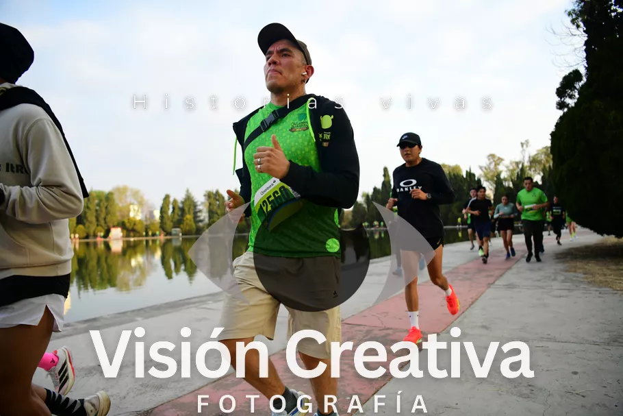 Foto del evento Shrek - CDMX 2026