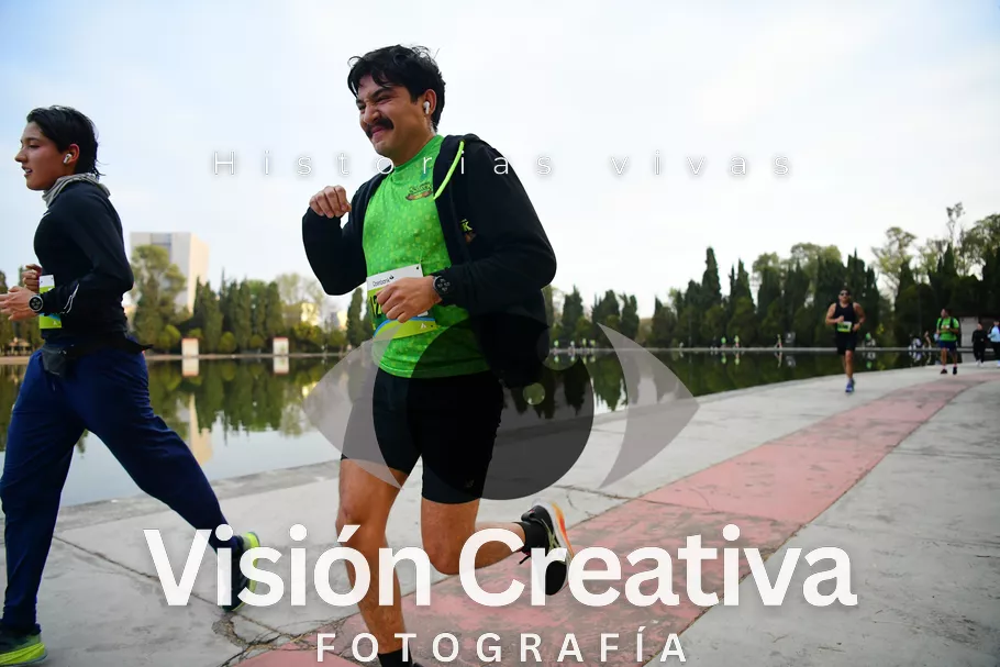 Foto del evento Shrek - CDMX 2026