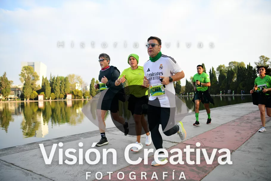 Foto del evento Shrek - CDMX 2026