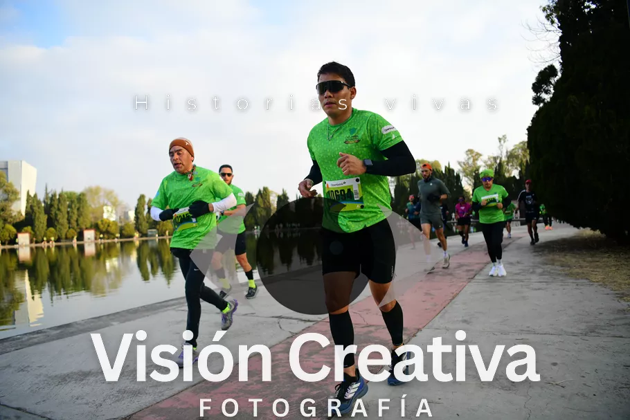 Foto del evento Shrek - CDMX 2026