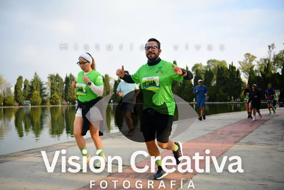 Foto del evento Shrek - CDMX 2026