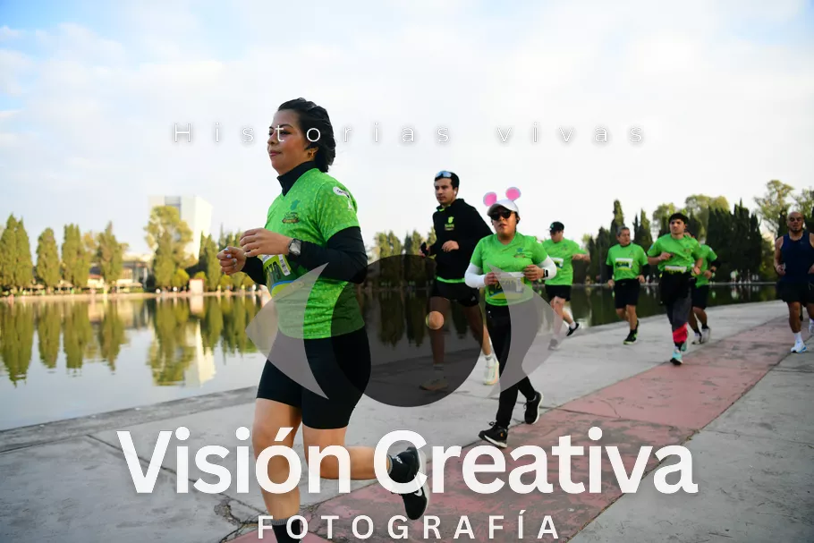 Foto del evento Shrek - CDMX 2026