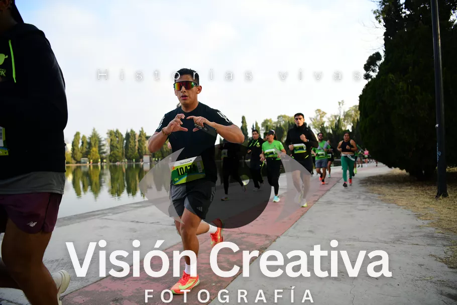 Foto del evento Shrek - CDMX 2026