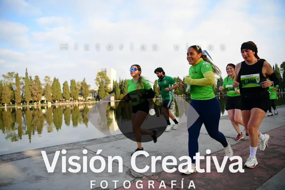 Foto del evento Shrek - CDMX 2026