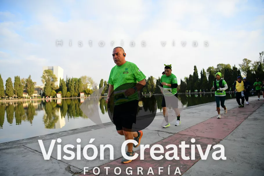 Foto del evento Shrek - CDMX 2026