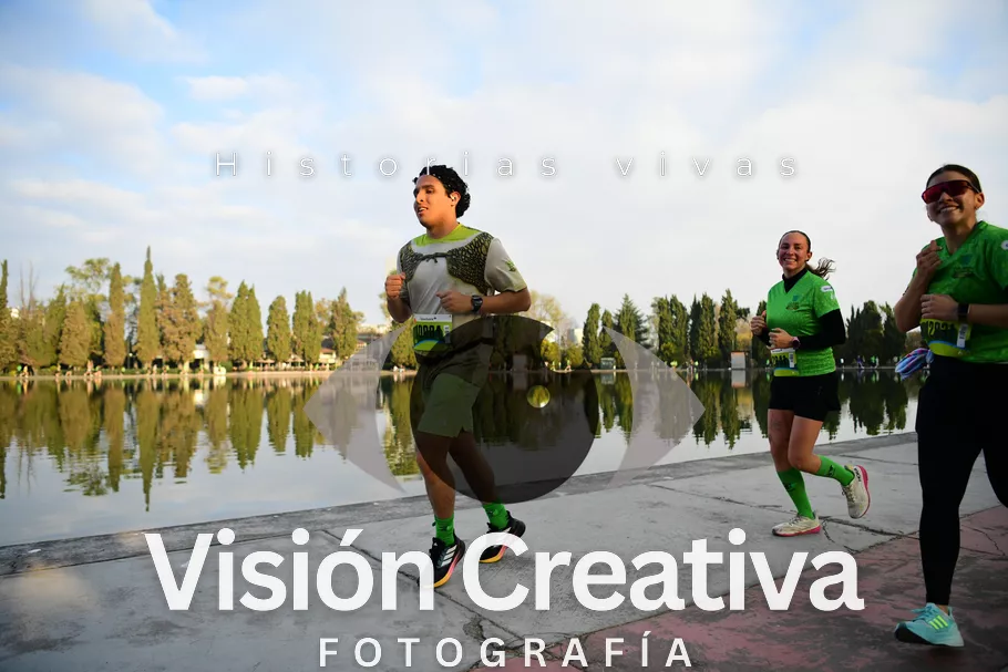 Foto del evento Shrek - CDMX 2026
