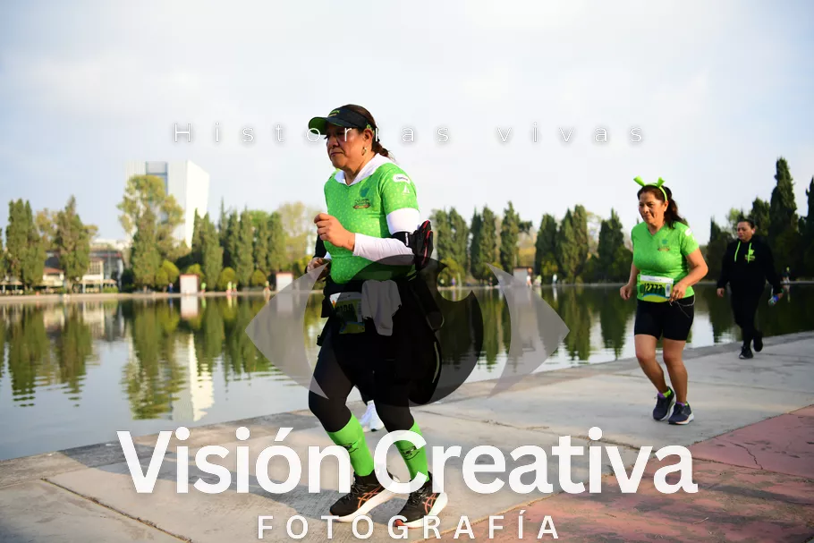 Foto del evento Shrek - CDMX 2026
