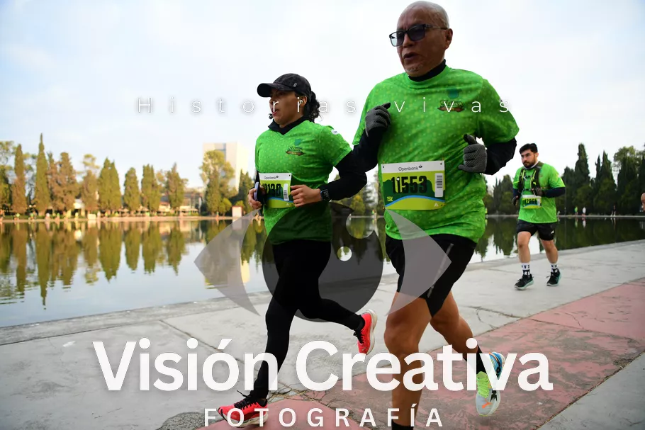 Foto del evento Shrek - CDMX 2026