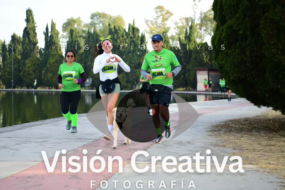 Foto del evento Shrek - CDMX 2026