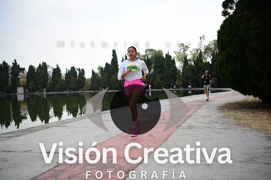 Foto del evento Shrek - CDMX 2026