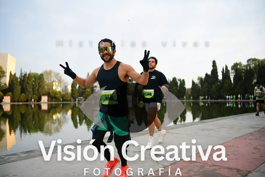 Foto del evento Shrek - CDMX 2026