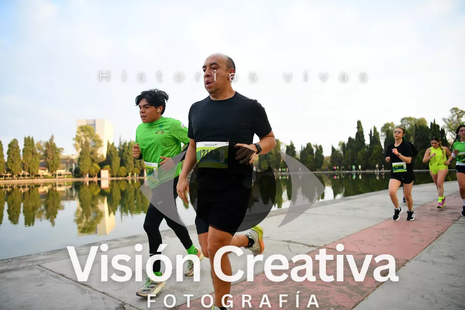 Foto del evento Shrek - CDMX 2026