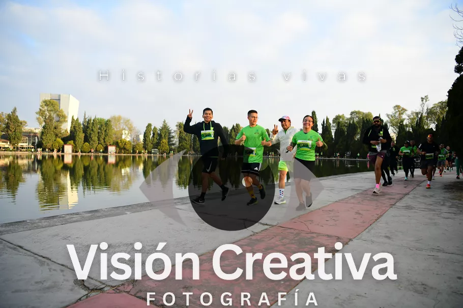 Foto del evento Shrek - CDMX 2026
