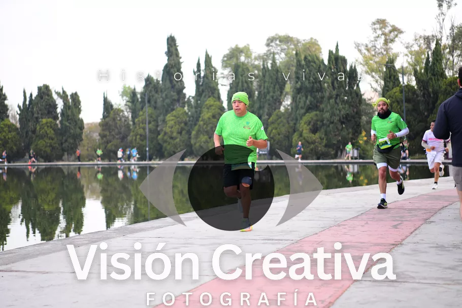 Foto del evento Shrek - CDMX 2026