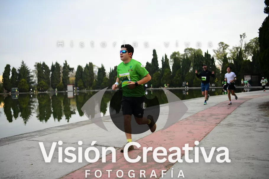 Foto del evento Shrek - CDMX 2026