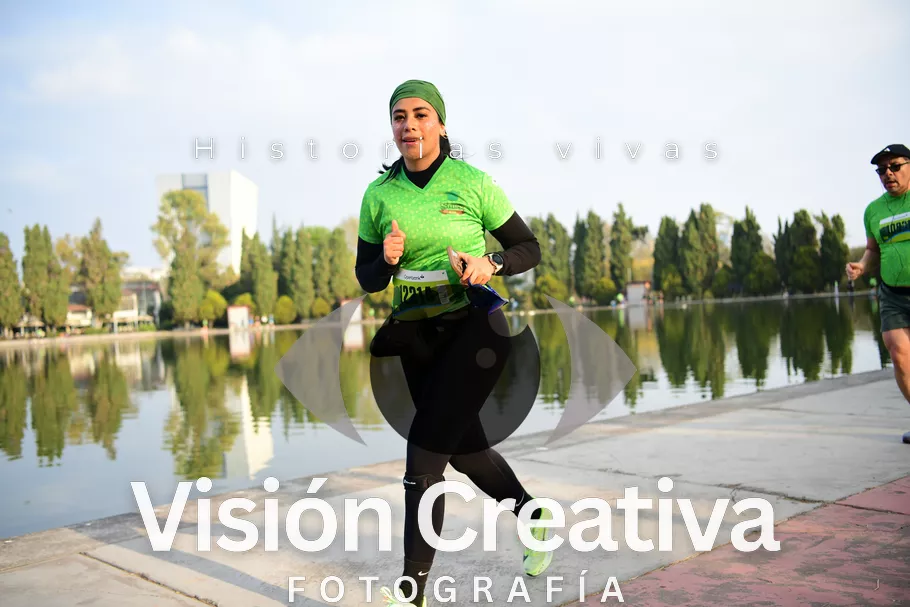 Foto del evento Shrek - CDMX 2026