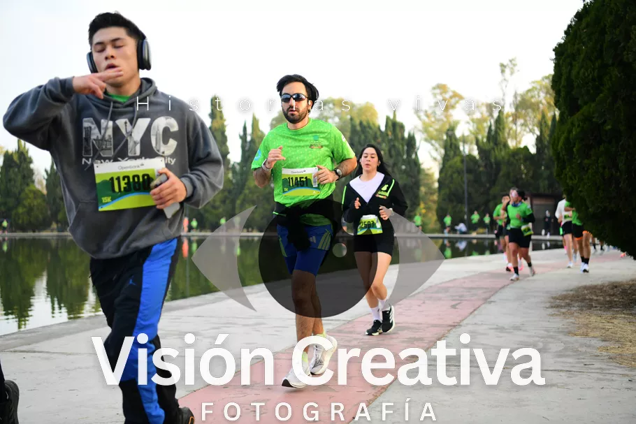 Foto del evento Shrek - CDMX 2026