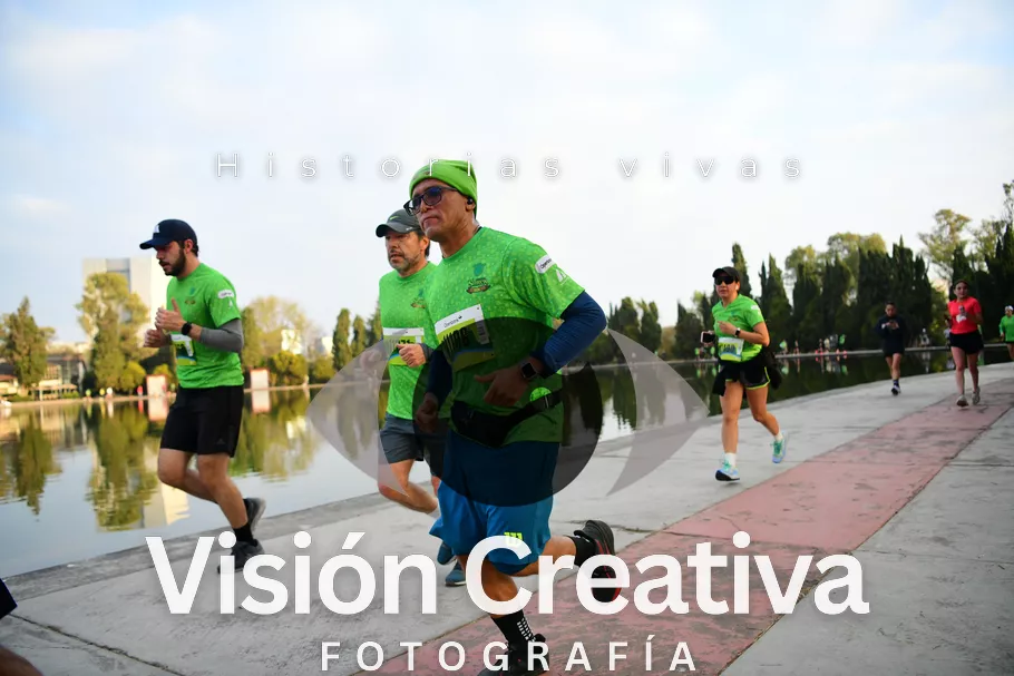 Foto del evento Shrek - CDMX 2026