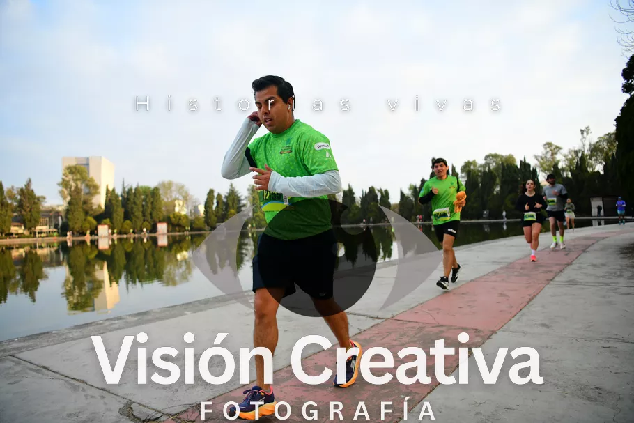 Foto del evento Shrek - CDMX 2026