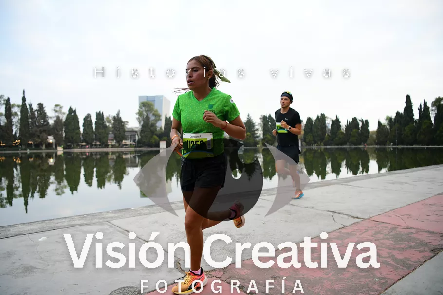 Foto del evento Shrek - CDMX 2026