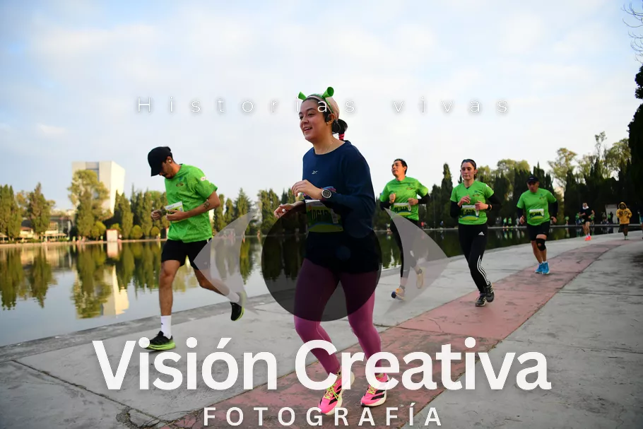 Foto del evento Shrek - CDMX 2026