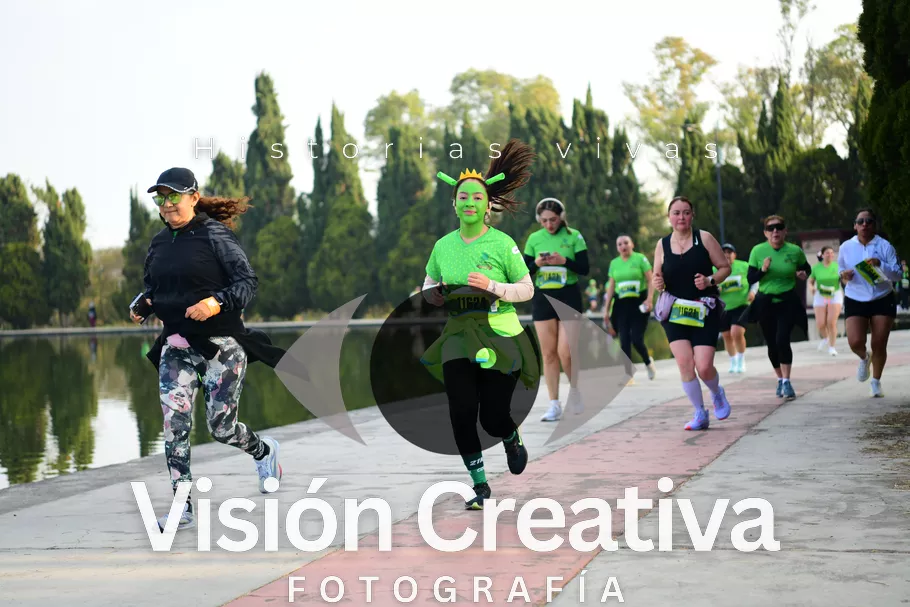 Foto del evento Shrek - CDMX 2026