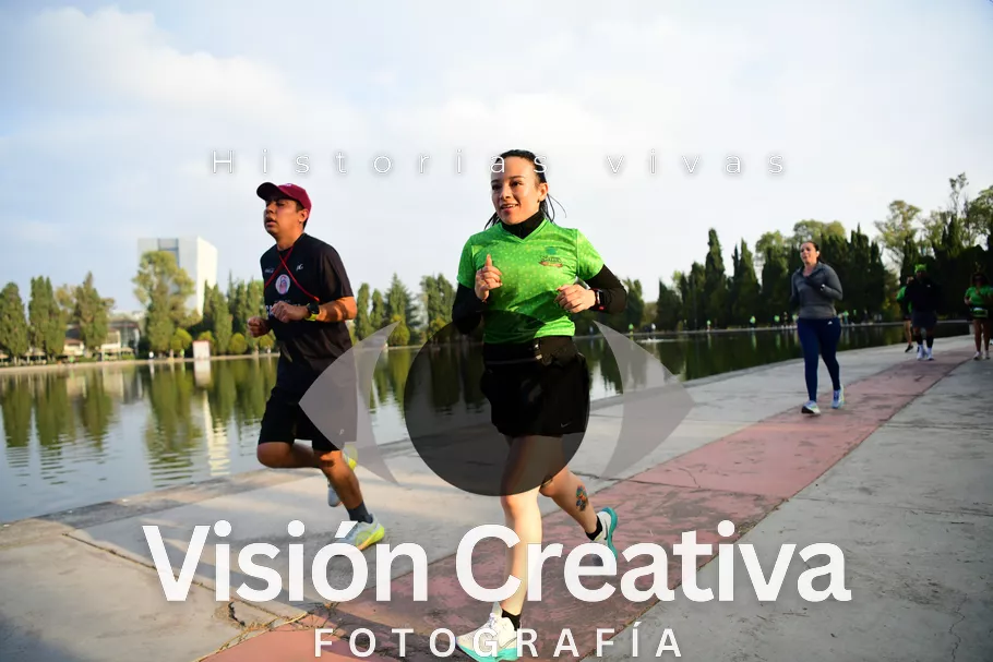 Foto del evento Shrek - CDMX 2026