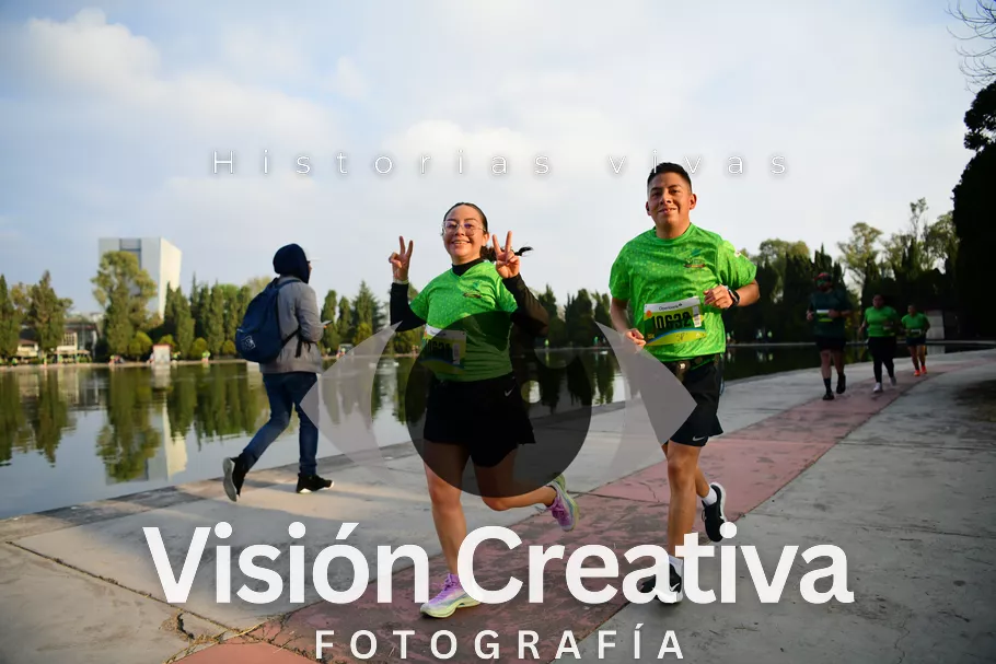 Foto del evento Shrek - CDMX 2026