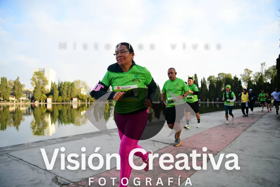 Foto del evento Shrek - CDMX 2026
