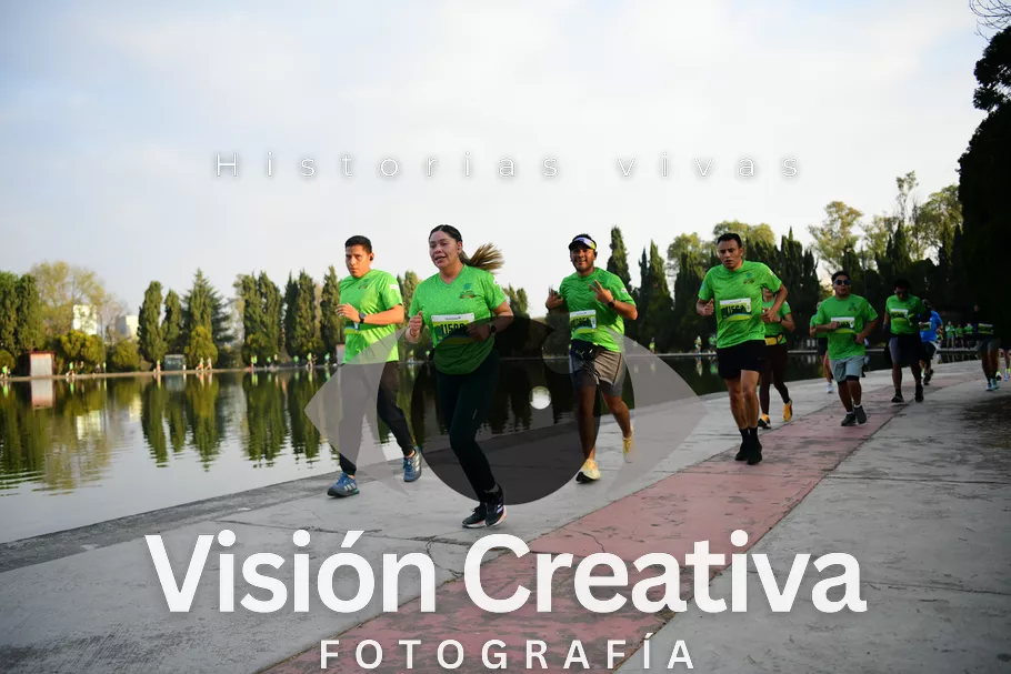 Foto del evento Shrek - CDMX 2026