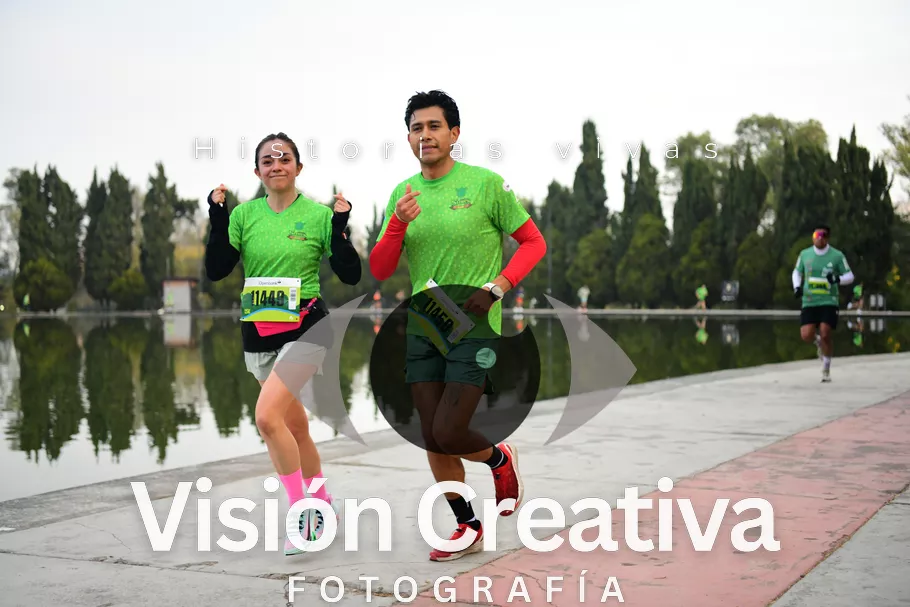 Foto del evento Shrek - CDMX 2026
