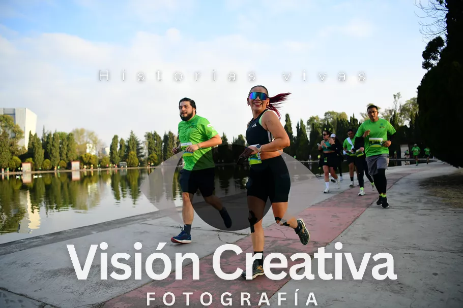 Foto del evento Shrek - CDMX 2026
