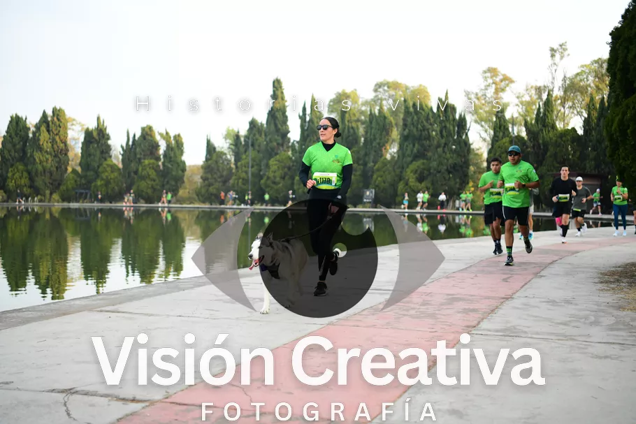 Foto del evento Shrek - CDMX 2026