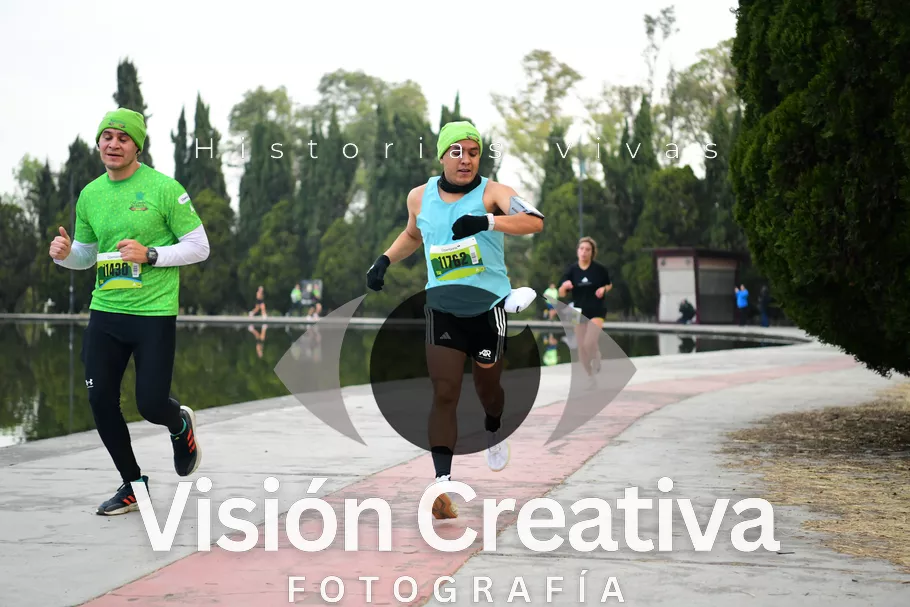 Foto del evento Shrek - CDMX 2026