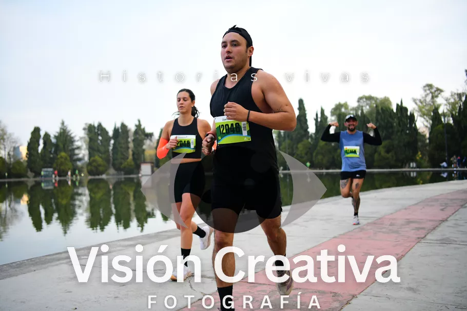 Foto del evento Shrek - CDMX 2026
