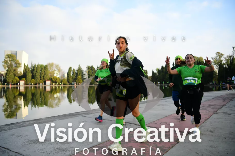 Foto del evento Shrek - CDMX 2026