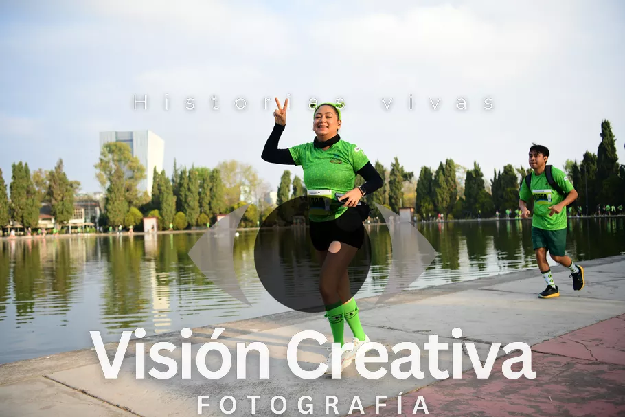 Foto del evento Shrek - CDMX 2026