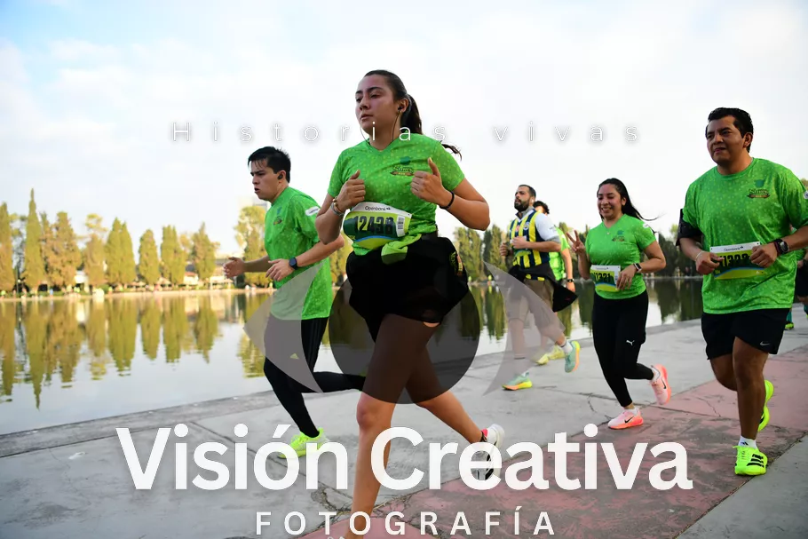 Foto del evento Shrek - CDMX 2026