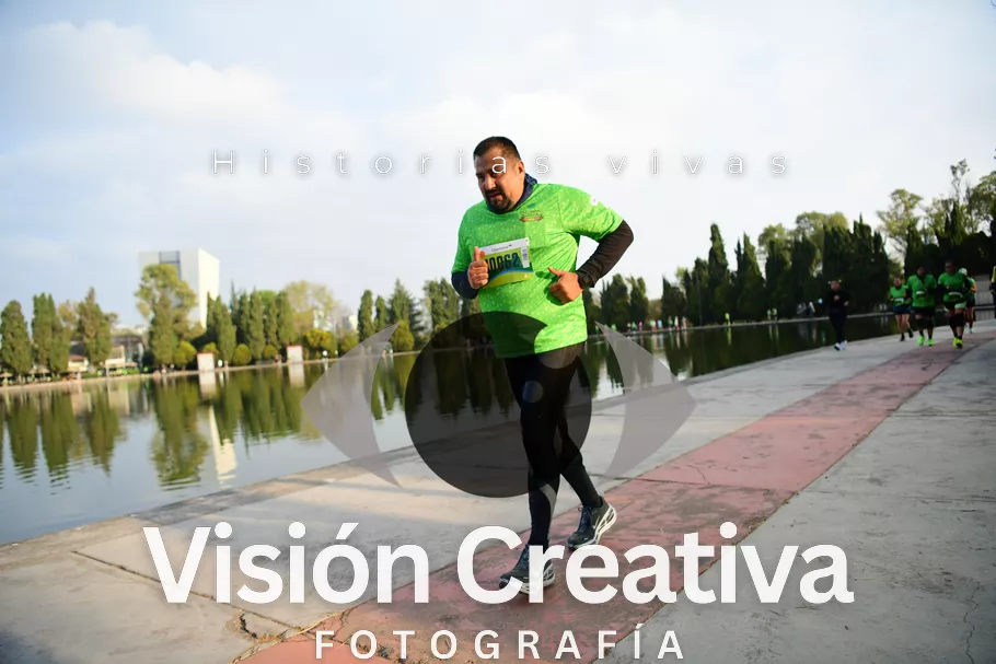 Foto del evento Shrek - CDMX 2026