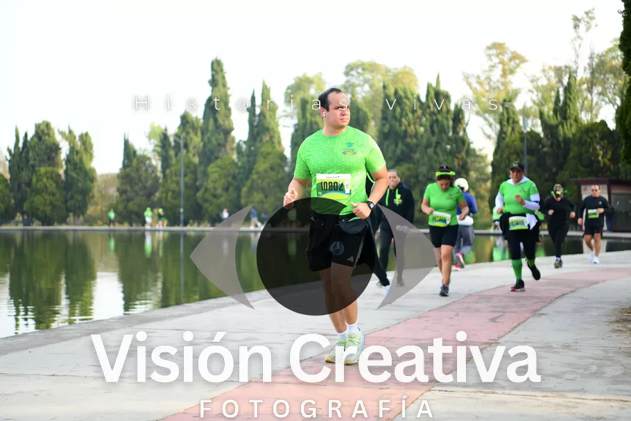 Foto del evento Shrek - CDMX 2026