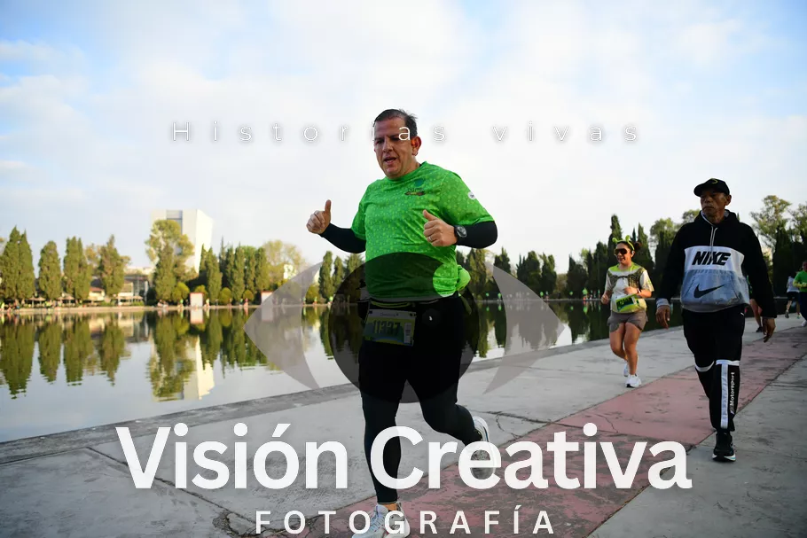 Foto del evento Shrek - CDMX 2026